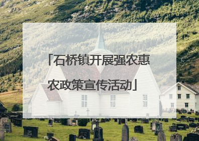石桥镇开展强农惠农政策宣传活动