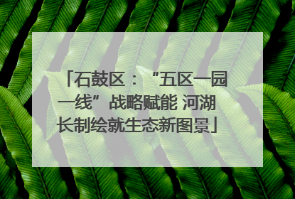 石鼓区：“五区一园一线”战略赋能 河湖长制绘就生态新图景