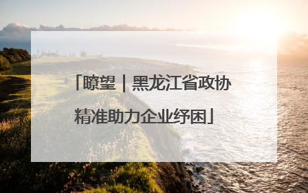 瞭望｜黑龙江省政协精准助力企业纾困