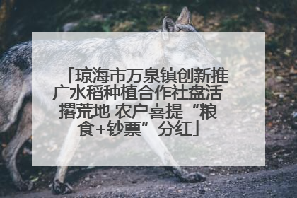 琼海市万泉镇创新推广水稻种植合作社盘活撂荒地 农户喜提“粮食+钞票”分红