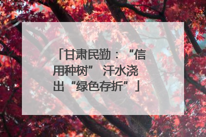 甘肃民勤：“信用种树” 汗水浇出“绿色存折”