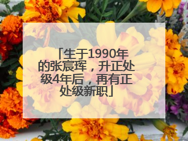 生于1990年的张宸珲，升正处级4年后，再有正处级新职