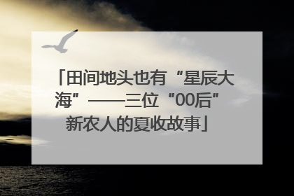 田间地头也有“星辰大海”——三位“00后”新农人的夏收故事