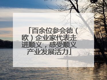 百余位参会德（欧）企业家代表走进顺义，感受顺义产业发展活力