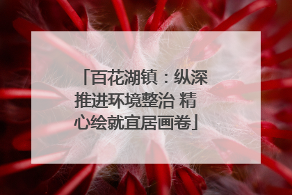 百花湖镇：纵深推进环境整治 精心绘就宜居画卷