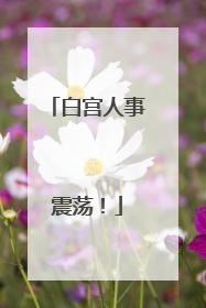 白宫人事震荡！