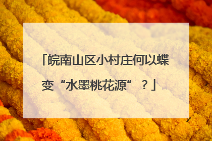 皖南山区小村庄何以蝶变“水墨桃花源”？