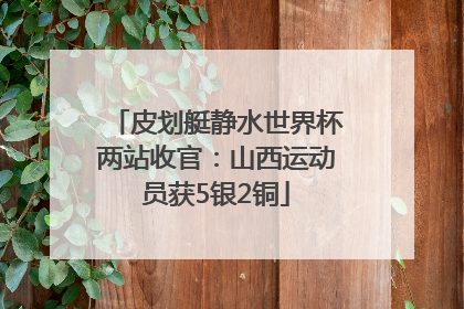 皮划艇静水世界杯两站收官：山西运动员获5银2铜