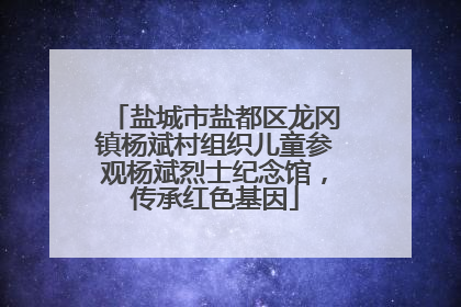 盐城市盐都区龙冈镇杨斌村组织儿童参观杨斌烈士纪念馆，传承红色基因