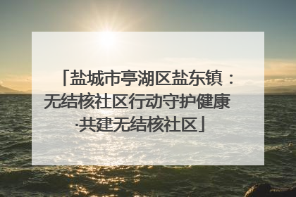 盐城市亭湖区盐东镇：无结核社区行动守护健康 ·共建无结核社区