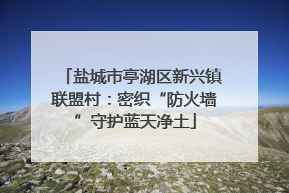 盐城市亭湖区新兴镇联盟村：密织“防火墙”守护蓝天净土