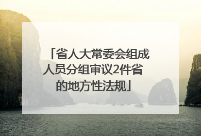 省人大常委会组成人员分组审议2件省的地方性法规