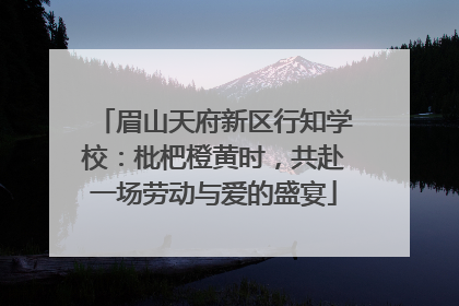 眉山天府新区行知学校：枇杷橙黄时，共赴一场劳动与爱的盛宴