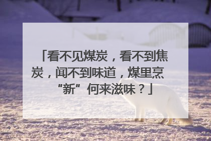 看不见煤炭，看不到焦炭，闻不到味道，煤里烹“新”何来滋味？