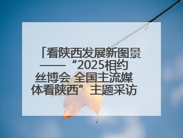 看陕西发展新图景——“2025相约丝博会 全国主流媒体看陕西”主题采访活动见闻