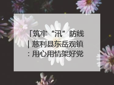 筑牢“汛”防线｜慈利县东岳观镇：用心用情架好党群温暖悠长的“连心桥”