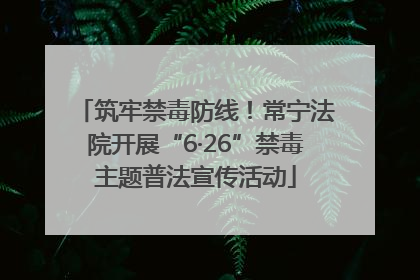 筑牢禁毒防线！常宁法院开展“6·26”禁毒主题普法宣传活动