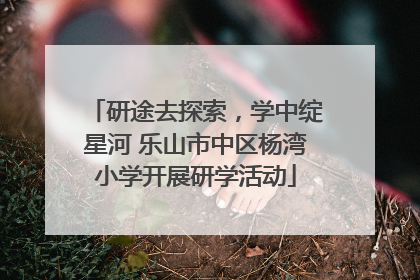 研途去探索，学中绽星河 乐山市中区杨湾小学开展研学活动
