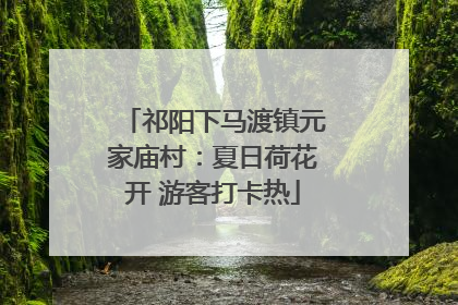 祁阳下马渡镇元家庙村：夏日荷花开 游客打卡热