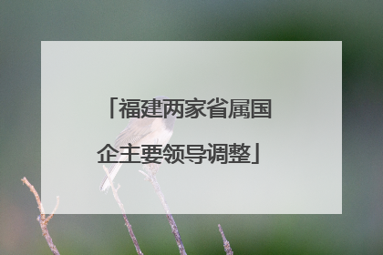 福建两家省属国企主要领导调整