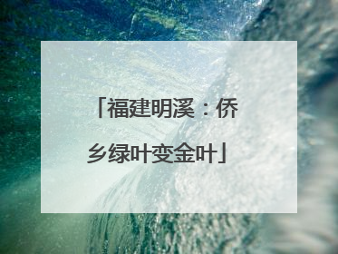 福建明溪：侨乡绿叶变金叶