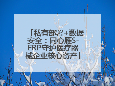 私有部署+数据安全：同心雁S-ERP守护医疗器械企业核心资产