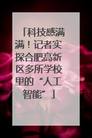 科技感满满！记者实探合肥高新区多所学校里的“人工智能”