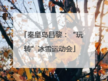秦皇岛昌黎：“玩转”冰雪运动会