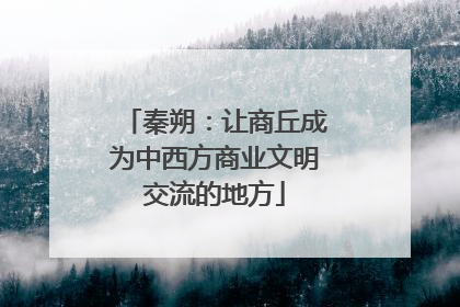 秦朔：让商丘成为中西方商业文明交流的地方