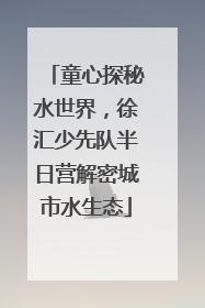 童心探秘水世界，徐汇少先队半日营解密城市水生态