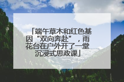 端午草木和红色基因“双向奔赴”，雨花台在户外开了一堂沉浸式思政课