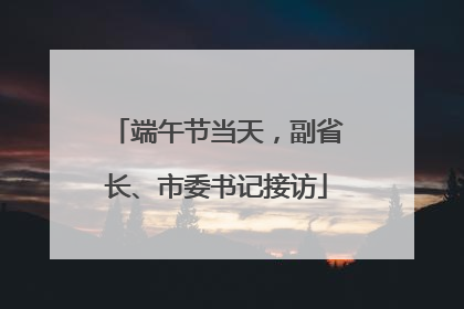 端午节当天，副省长、市委书记接访