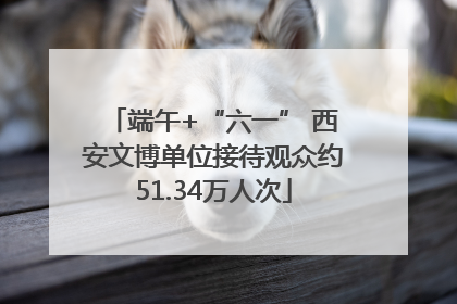 端午+“六一” 西安文博单位接待观众约51.34万人次