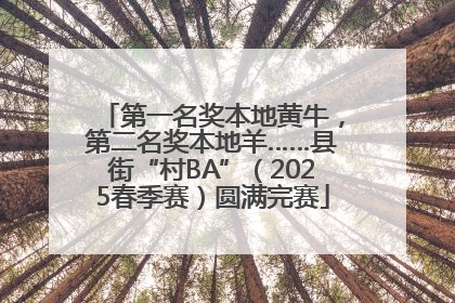 第一名奖本地黄牛，第二名奖本地羊……县街“村BA”（2025春季赛）圆满完赛