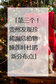 第三个！贵州发现珍稀濒危植物睡莲叶杜鹃新分布点