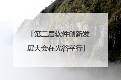 第三届软件创新发展大会在光谷举行