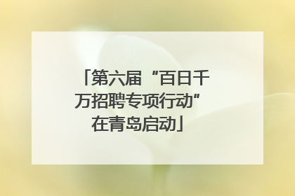 第六届“百日千万招聘专项行动”在青岛启动