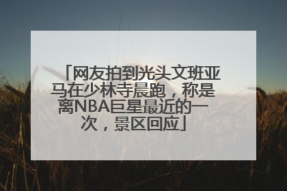 网友拍到光头文班亚马在少林寺晨跑，称是离NBA巨星最近的一次，景区回应