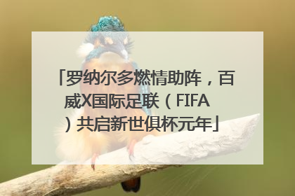 罗纳尔多燃情助阵，百威X国际足联（FIFA）共启新世俱杯元年