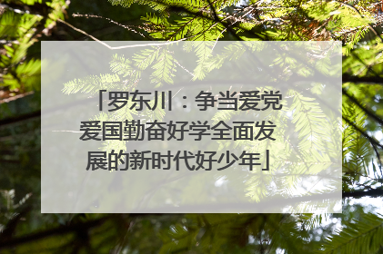 罗东川：争当爱党爱国勤奋好学全面发展的新时代好少年