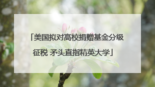 美国拟对高校捐赠基金分级征税 矛头直指精英大学