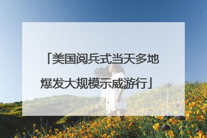 美国阅兵式当天多地爆发大规模示威游行