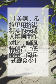 美媒：希拉里用挤满街头的示威人群画面作对比，嘲讽特朗普“低能量”阅兵式观众少