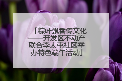 粽叶飘香传文化——开发区不动产联合李太屯社区举办特色端午活动