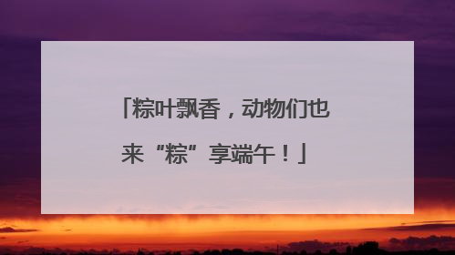 粽叶飘香，动物们也来“粽”享端午！