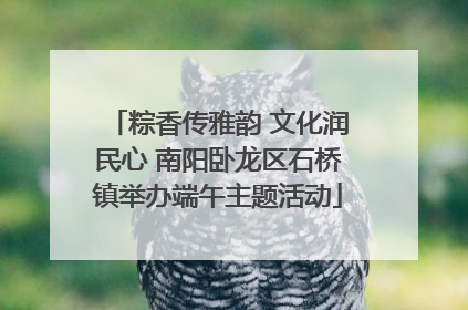 粽香传雅韵 文化润民心 南阳卧龙区石桥镇举办端午主题活动