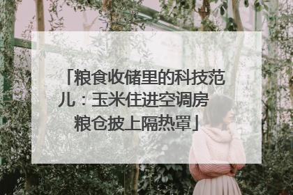 粮食收储里的科技范儿：玉米住进空调房 粮仓披上隔热罩
