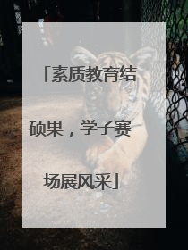 素质教育结硕果，学子赛场展风采