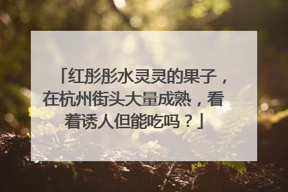 红彤彤水灵灵的果子，在杭州街头大量成熟，看着诱人但能吃吗？