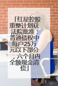 红星控股重整计划获法院批准：普通债权中每户25万元以下部分，六个月内全额现金清偿